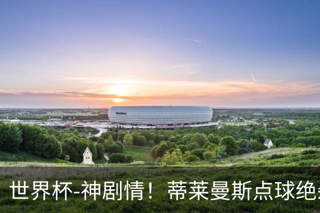世界杯-神剧情！蒂莱曼斯点球绝杀 比利时加时3-2塞内加尔