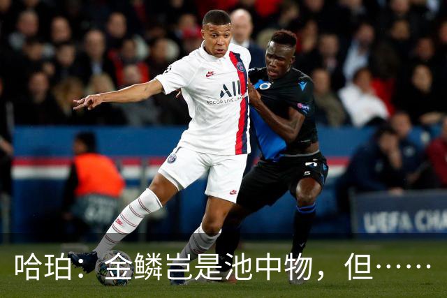 哈珀：金鳞岂是池中物，但……